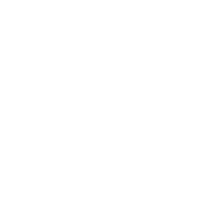 Mini Logo